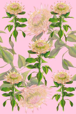 向日葵印花华亿平台图片