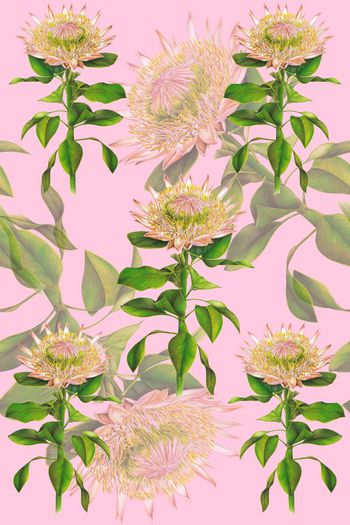 609620-向日葵彩铅2