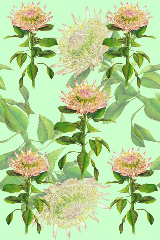 向日葵印花华亿平台图片