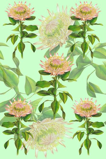 609621-向日葵彩铅3