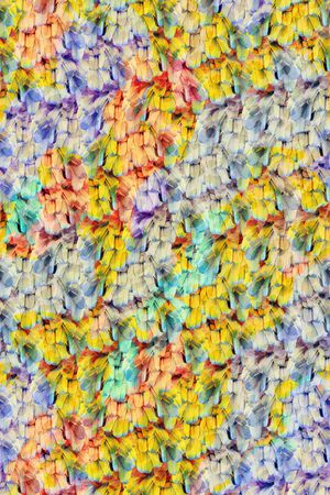 羽毛印花华亿平台图片