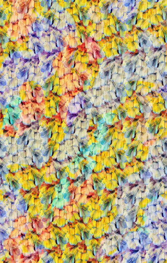 羽毛印花华亿平台图片