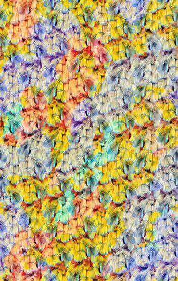 609723-时尚豹纹 羽毛--2