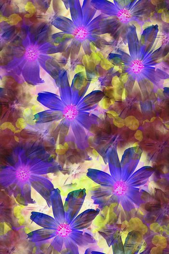 609967-时尚 温馨花卉001