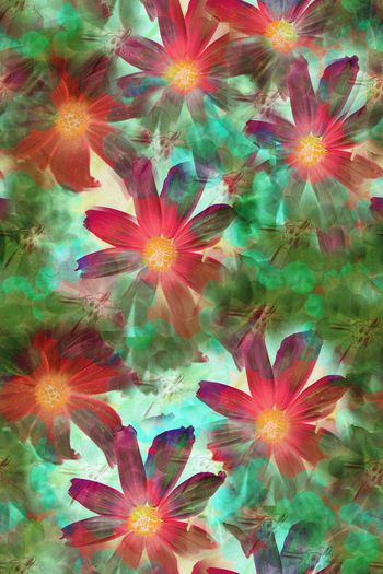 609969-时尚 温馨花卉003