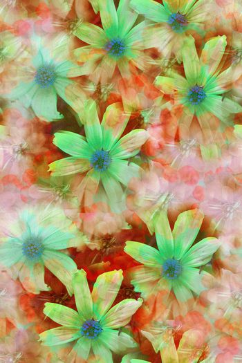 609970-时尚 温馨花卉004