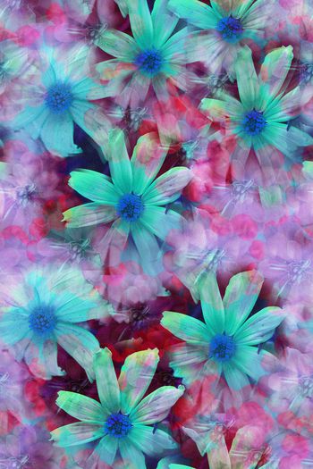 609971-时尚 温馨花卉005