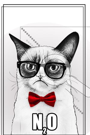 动物印花华亿平台图片