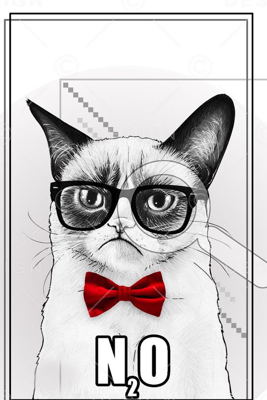 动物印花华亿平台图片