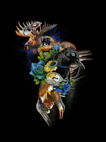 610002-838816041102a