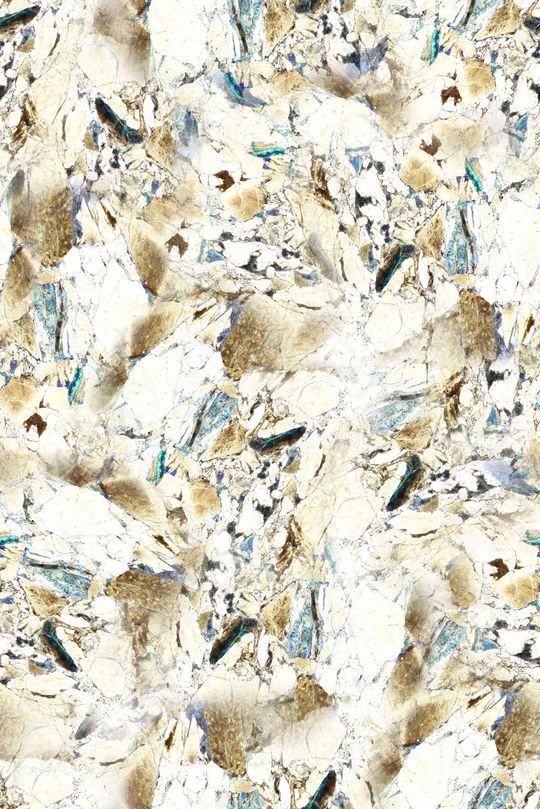 女装印花华亿平台图片