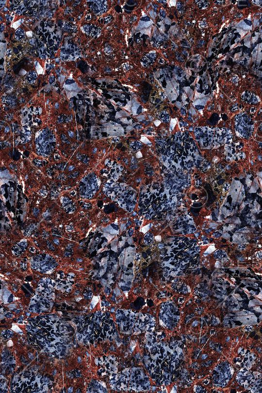 女装印花华亿平台图片