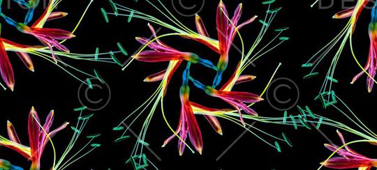 浪漫印花华亿平台图片