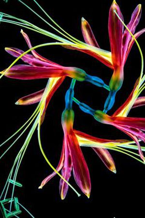 浪漫印花华亿平台图片