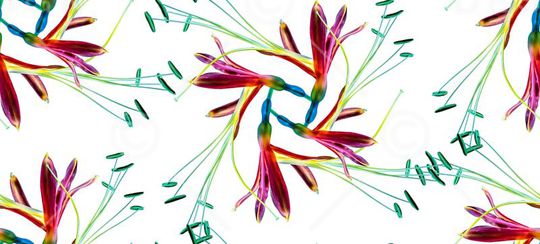 浪漫印花华亿平台图片