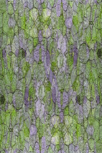 610167-几何色块石纹