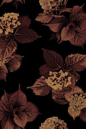 绣球花印花华亿平台图片