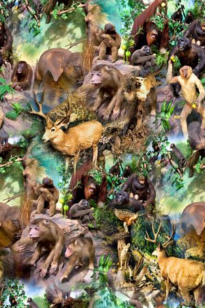 田园印花华亿平台图片