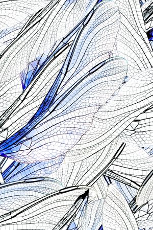 动物纹印花华亿平台图片