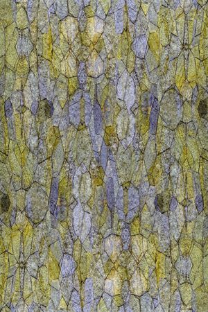 斑驳的大理石印花华亿平台图片