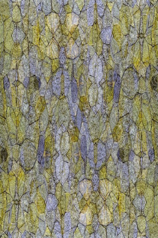 斑驳的大理石印花华亿平台图片