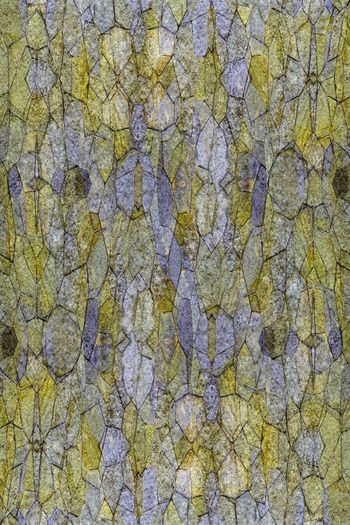 610261-几何色块石纹