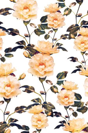 枝条、朦胧花卉印花华亿平台图片