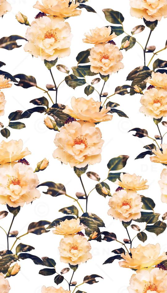 枝条、朦胧花卉印花华亿平台图片