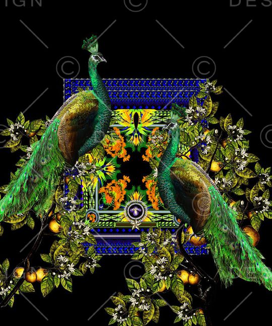 Dolce&Gabbana印花华亿平台图片