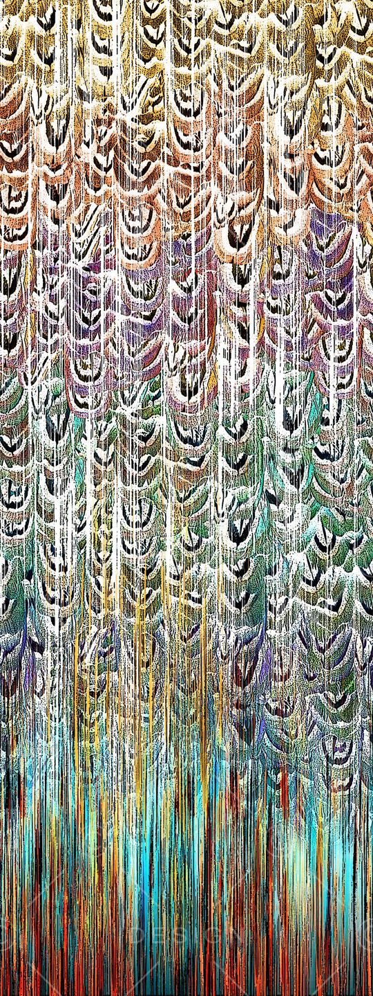 羽毛印花华亿平台图片