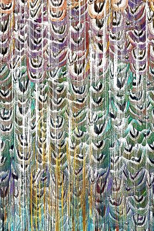 羽毛印花华亿平台图片