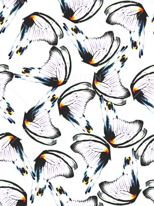 时尚、蝴蝶、翅膀印花华亿平台图片