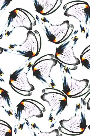 时尚、蝴蝶、翅膀印花华亿平台图片