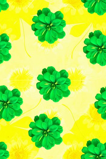 611023-时尚 花卉111