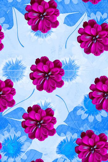 611027-时尚 花卉116