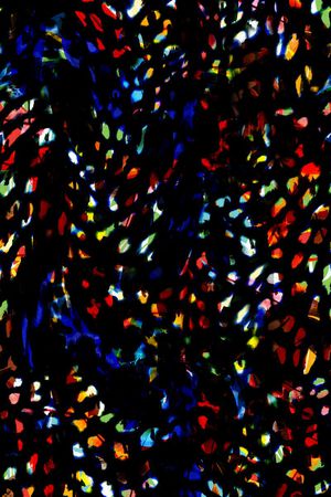 男装女装图案印花华亿平台图片