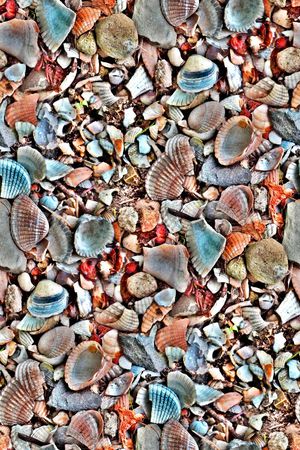 纹理印花华亿平台图片