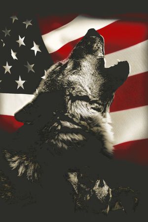 狼印花华亿平台图片