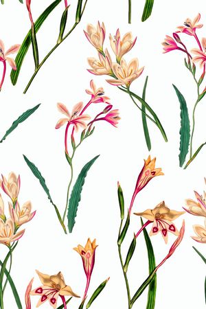 时尚水彩花卉服装印花华亿平台图片