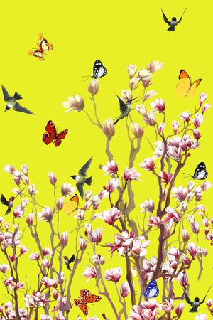 蝴蝶印花华亿平台图片