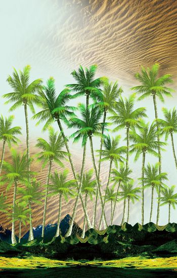 611567-小山椰树0456d