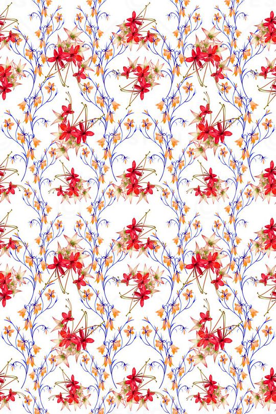 植物花卉印花华亿平台图片