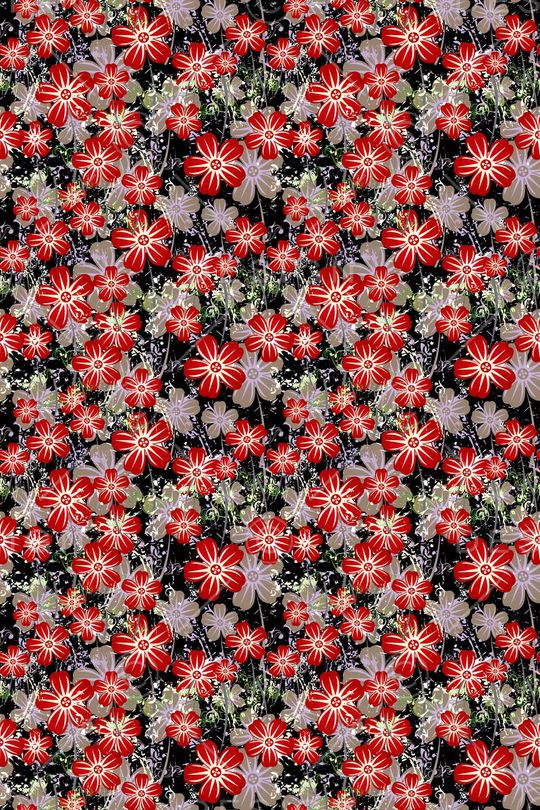 植物花卉印花华亿平台图片