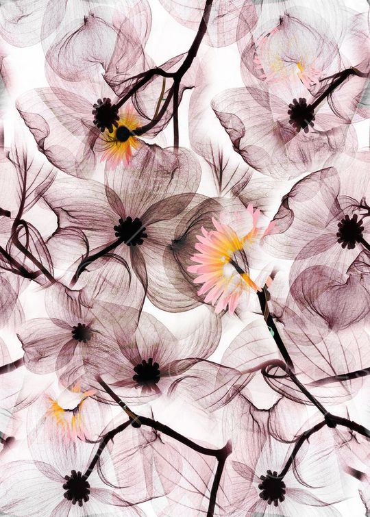 抽象花卉印花华亿平台图片