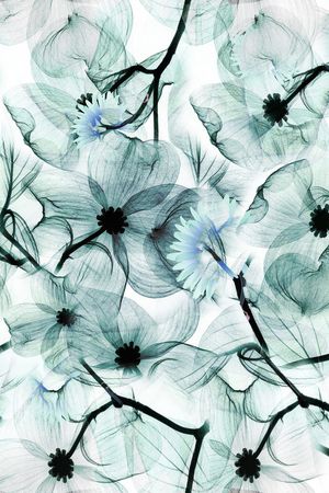 抽象花卉印花华亿平台图片