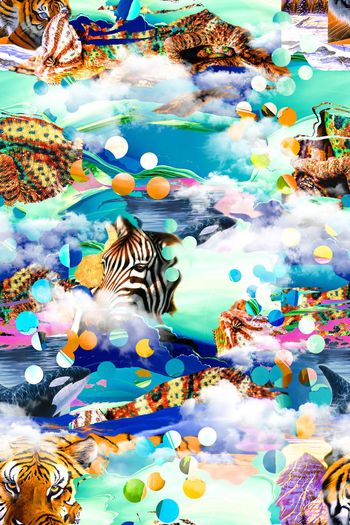 动物印花华亿平台图片