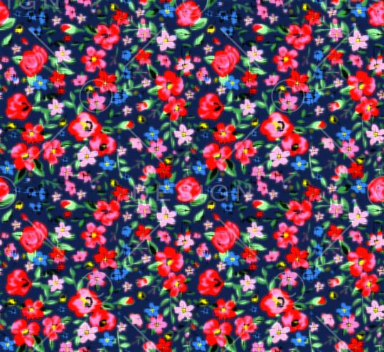 泳装印花华亿平台图片