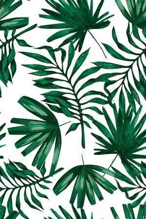 Fei-女装印花华亿平台图片