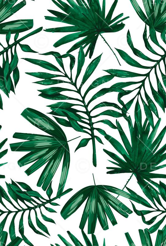 Fei-女装印花华亿平台图片