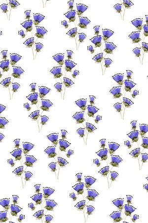 花朵印花华亿平台图片